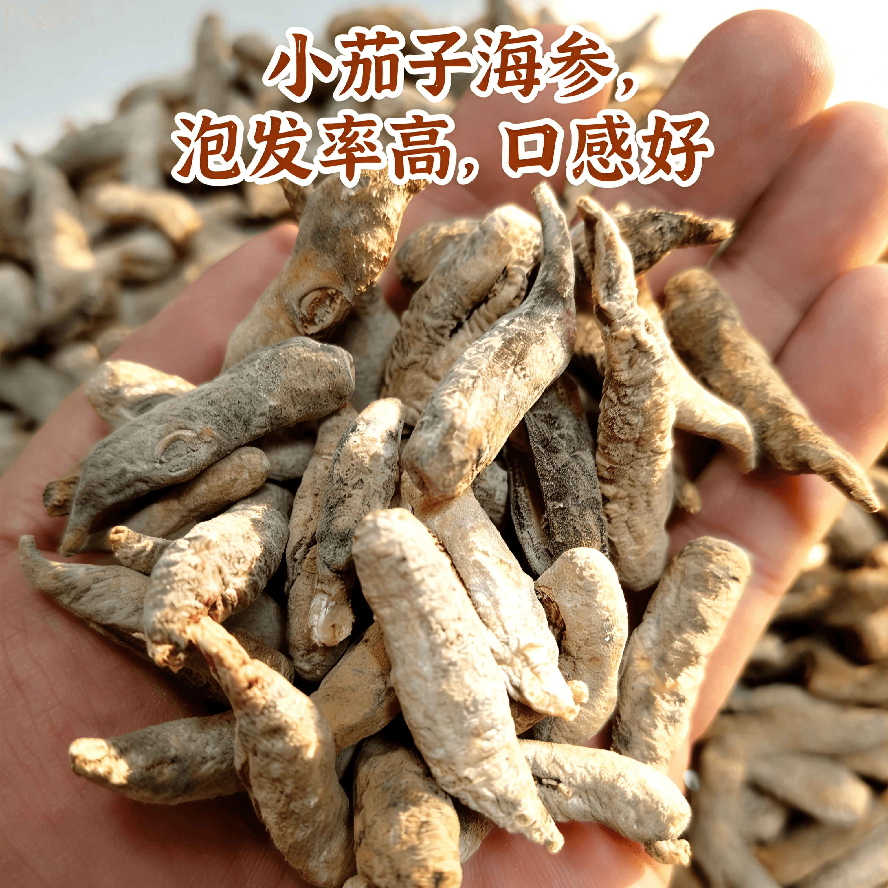 海茄子淡干干货深海海产干货家用煲汤食材无添加海产干货散装 - 缩略图3