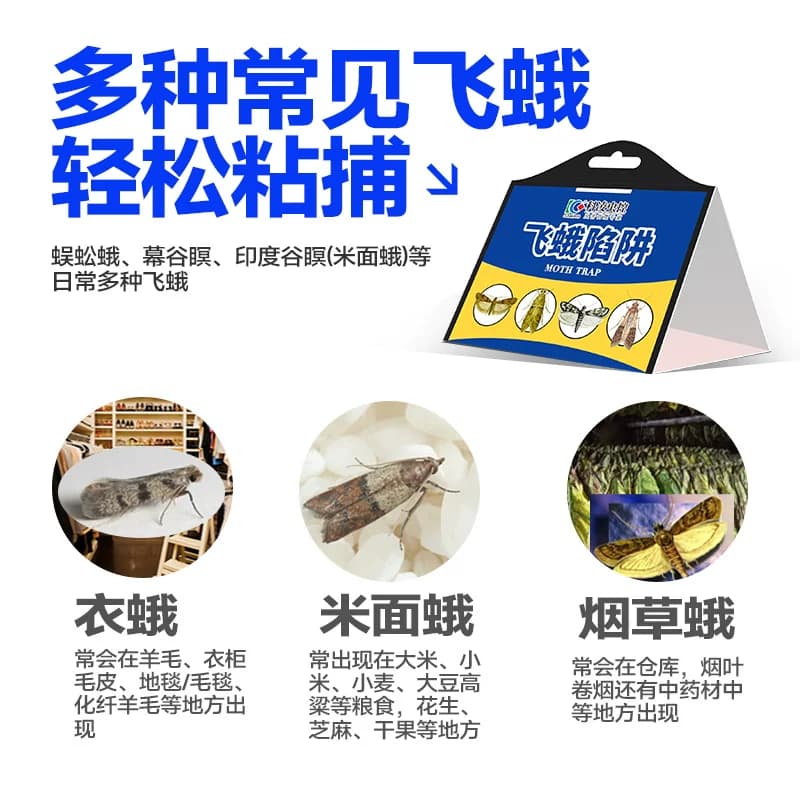 飞蛾诱捕器粘除米蛾子衣蛾陷阱面板小飞虫诱灭神器厕所杀虫剂蚋蠓 - 缩略图3