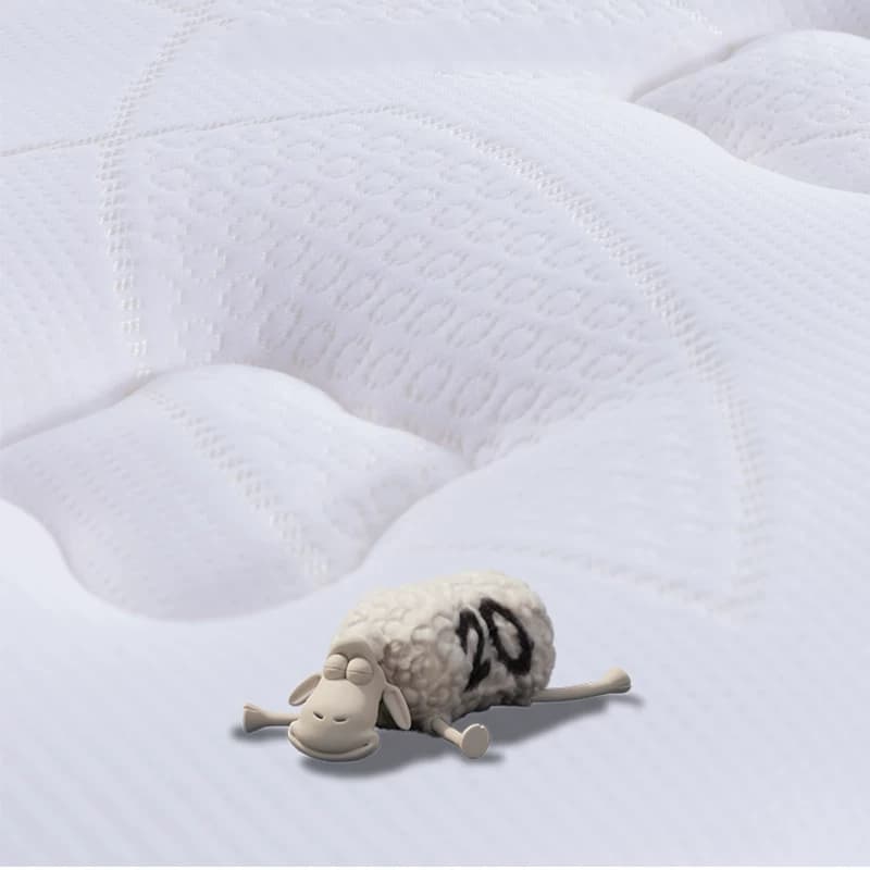 【政府补贴】Serta/舒达 梦享天使 乳胶床垫七区独立弹簧床垫适中 - 缩略图4