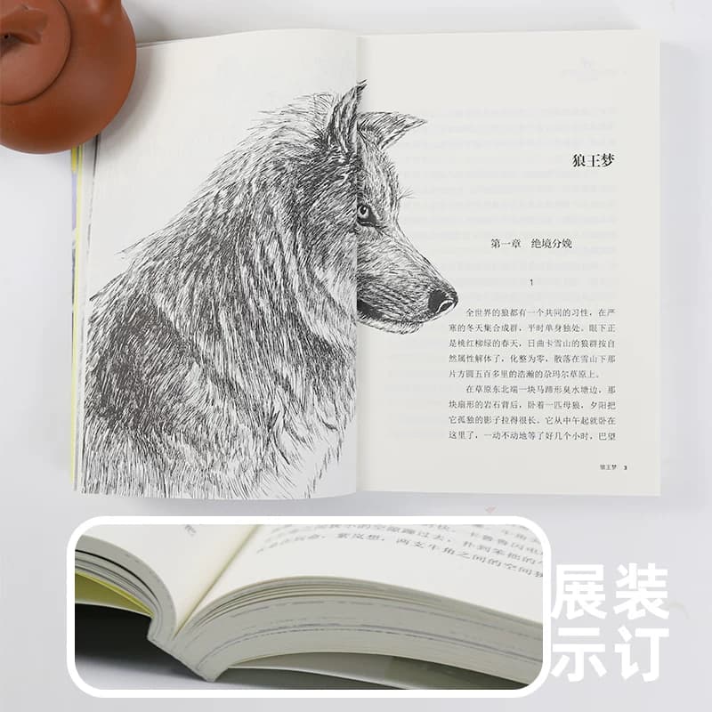 狼王梦沈石溪正版动物小说品藏书系 最后一头战象斑羚飞渡第七条猎狗残狼灰满混血豺王雪豹悲歌第七条猎狗 自传小时候路要靠自己走 - 缩略图4
