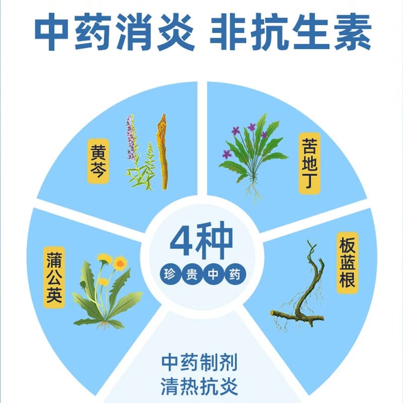 蒲地蓝消炎片52片咽炎片清热解毒牙龈肿痛消肿蒲地兰消炎药口服 - 缩略图3