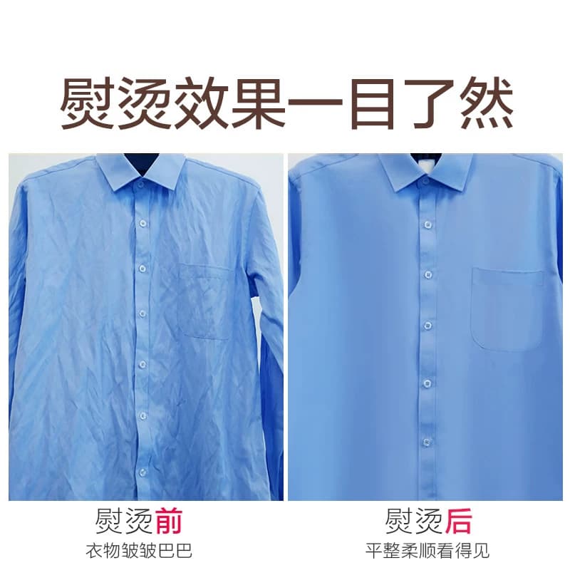 荣事达蒸汽挂烫机家用小型烫斗手持烫衣服熨烫机挂立式迷你电熨斗 - 缩略图2