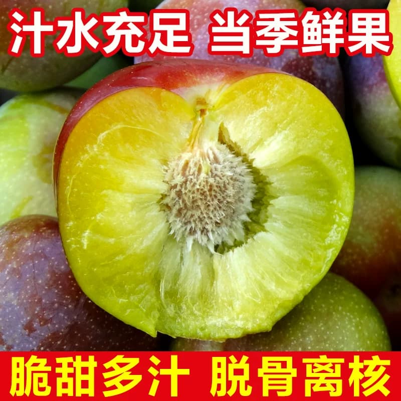 四川李子新鲜水果脱骨李子现货茵红李当季5斤脆甜半边红整箱包邮 - 缩略图3