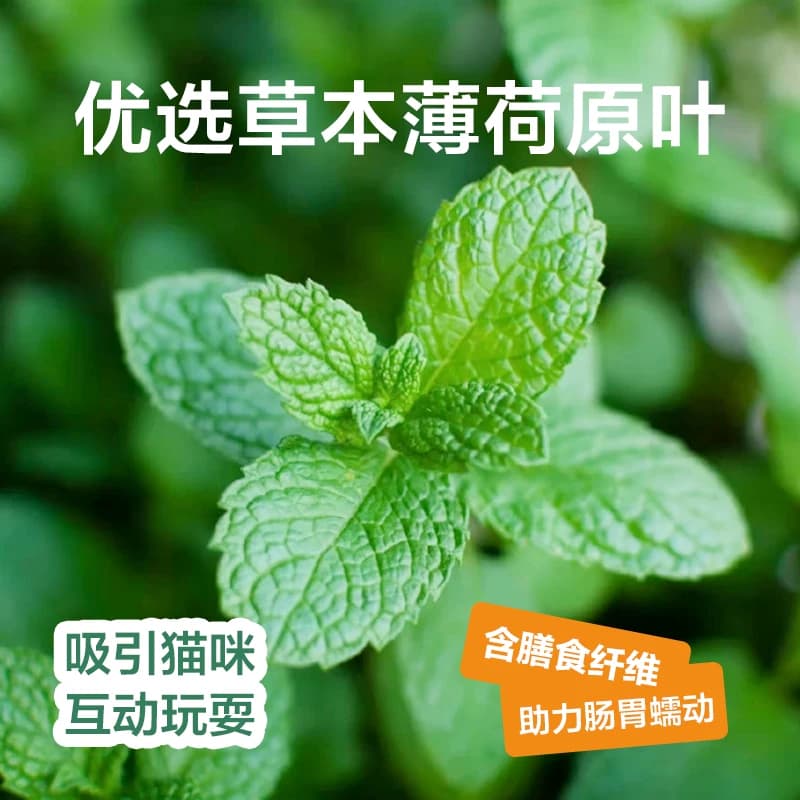 网易严选猫薄荷饼干幼猫零食非冻干猫草棒猫咪小鱼饼干化毛猫零食 - 缩略图2