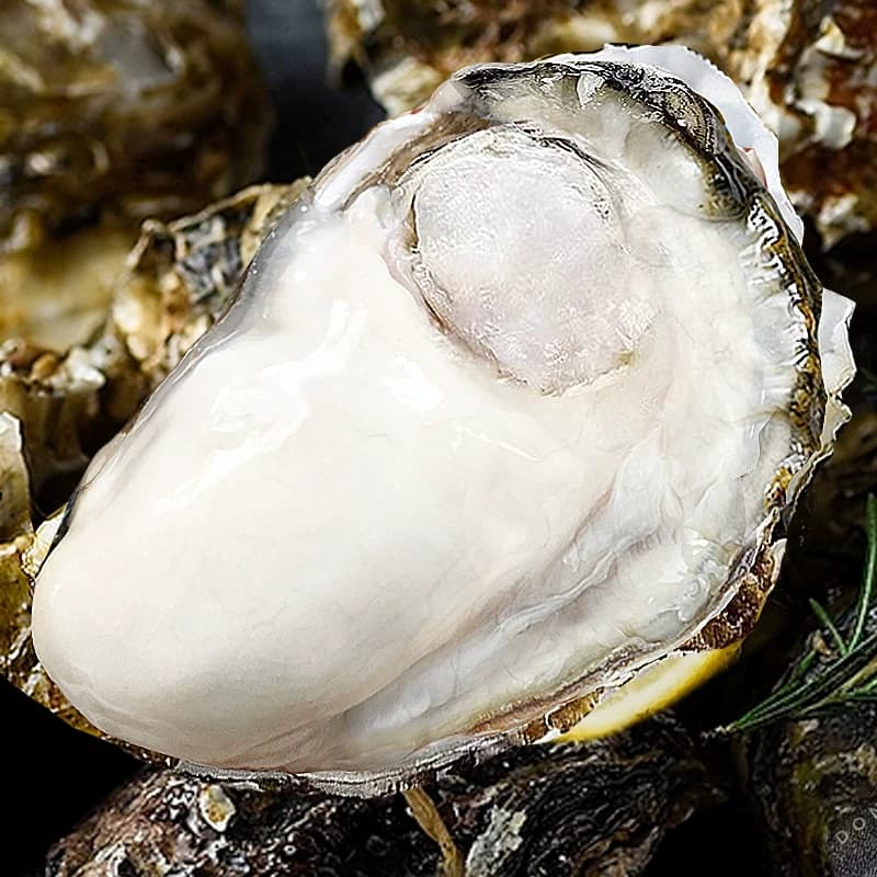 乳山生蚝鲜活特大10斤海蛎子烧烤生蚝鲜活批发生鲜牡蛎官方旗舰店 - 缩略图4