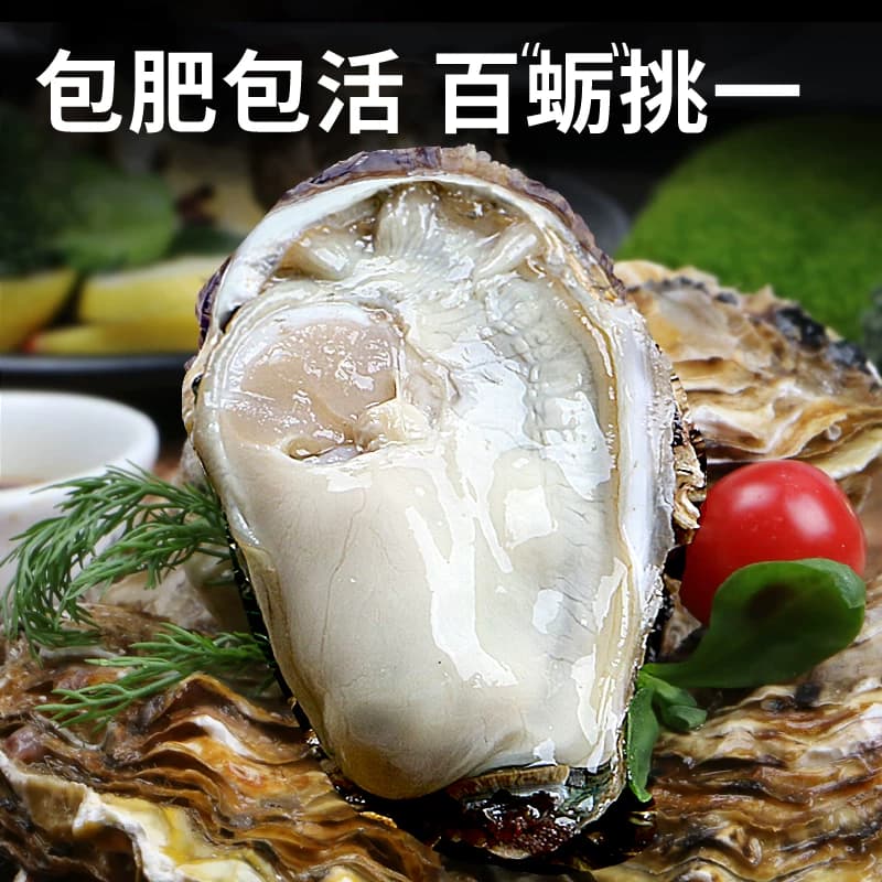 乳山生蚝鲜活特大10斤海蛎子烧烤生蚝鲜活批发生鲜牡蛎官方旗舰店 - 缩略图3