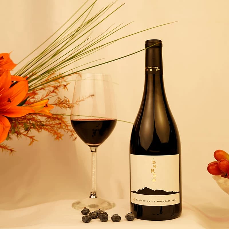 【贺兰阳光】宁夏贺兰山东麓产区山海干红葡萄酒750ml*2 精品佳酿 - 缩略图4