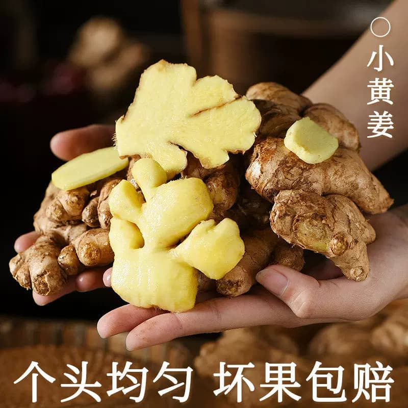 现挖老姜小黄姜生姜应季新鲜蔬菜姜云南特级批发调味料月子姜食用 - 缩略图5