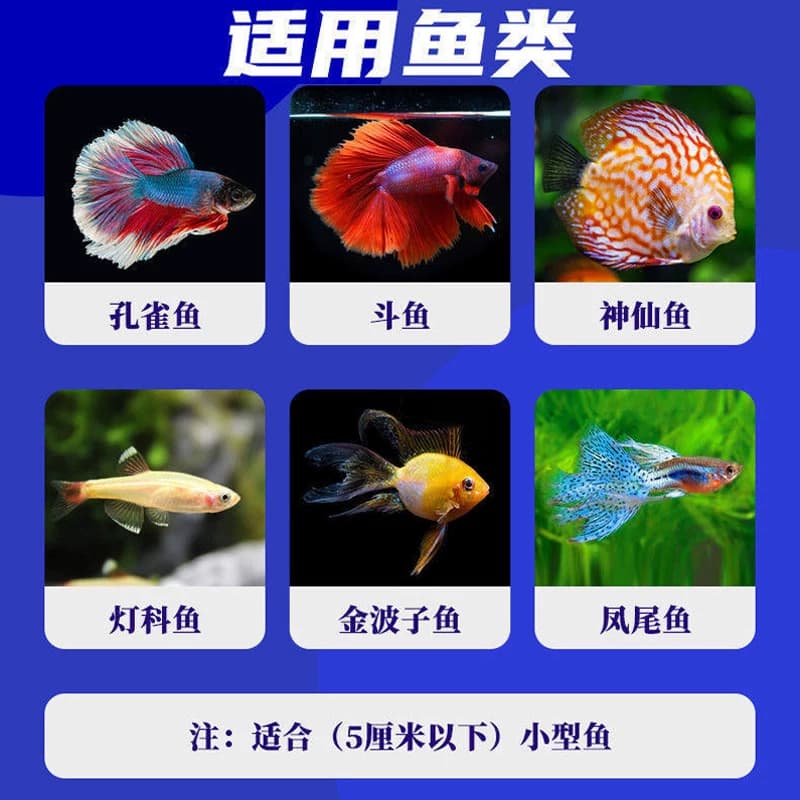 小型观赏鱼孔雀鱼饲料鱼食专用斗鱼神仙鱼灯科鱼斑马鱼凤尾鱼缓沉 - 缩略图4