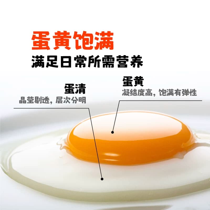 牧族NSF鸡蛋可生食新鲜30枚单枚50g/1.5kg一盒无菌农场一颗抗生素 - 缩略图5