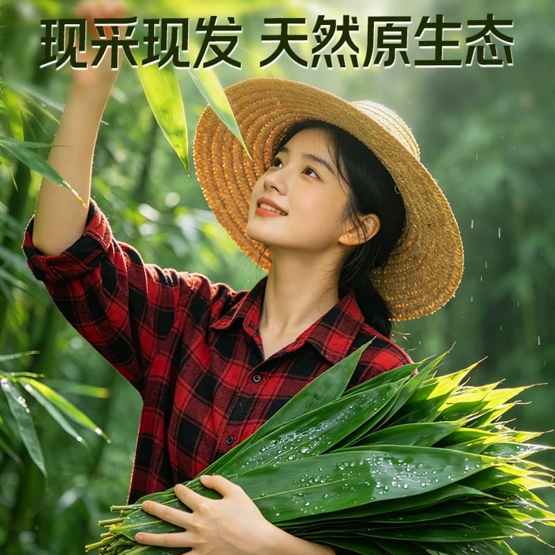 端午节包粽子专用粽叶粽子叶新鲜特大号鲜棕叶粽叶官方旗舰店批发 - 缩略图2