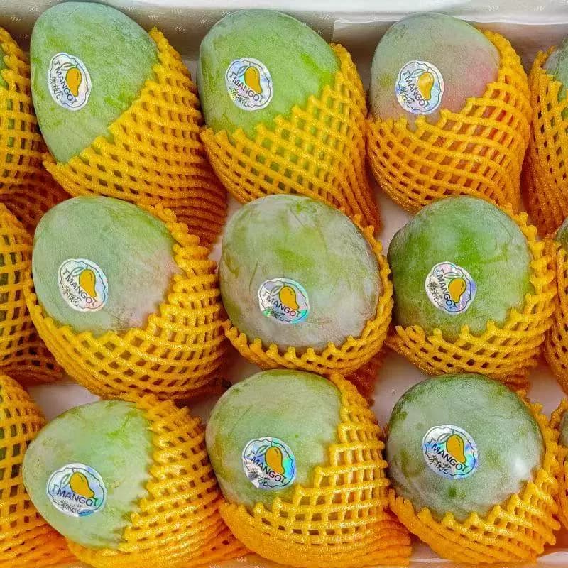 四川攀枝花凯特芒果当季新鲜水果现摘超甜彩虹芒大青吉禄芒果整箱 - 缩略图3