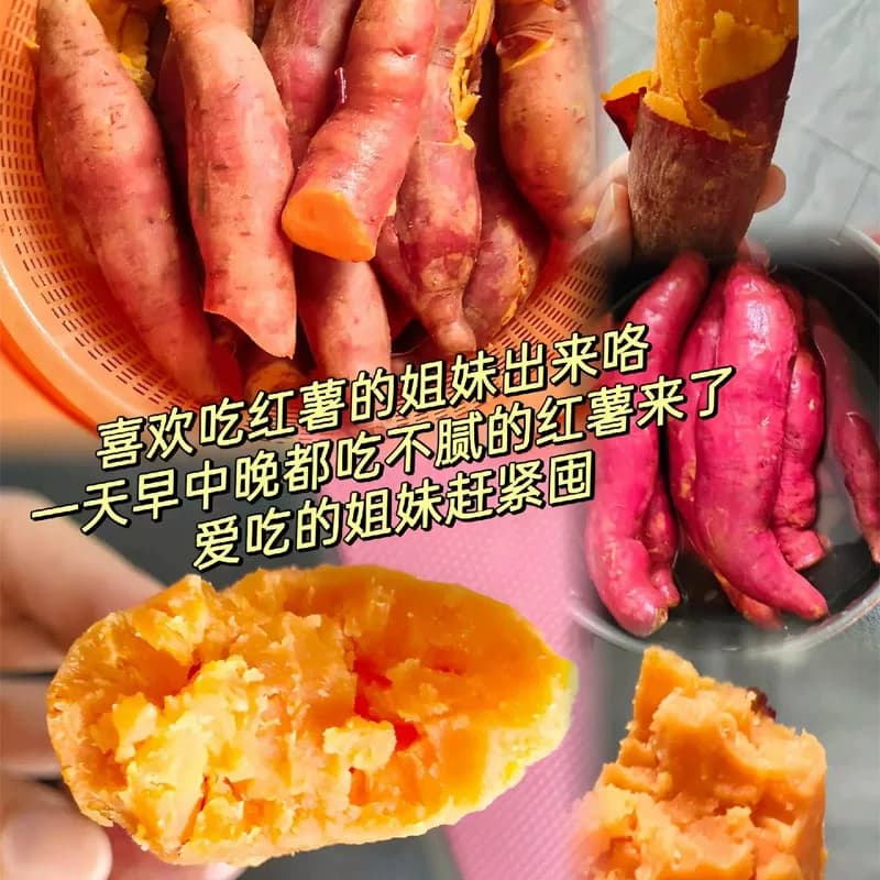山东烟薯糖心烟25号5斤蜜薯红薯新鲜番薯沙地烤地瓜农科院山芋 - 缩略图5