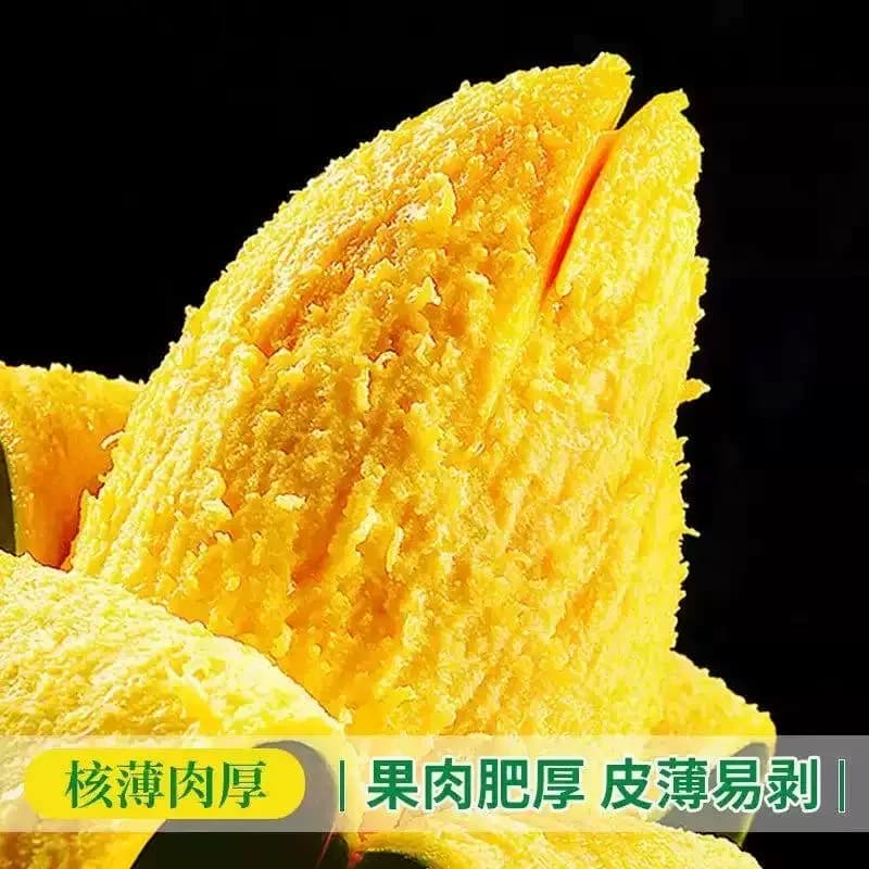 【芭芭农场兑换专享】大青芒3斤装单果400g＋ - 缩略图3