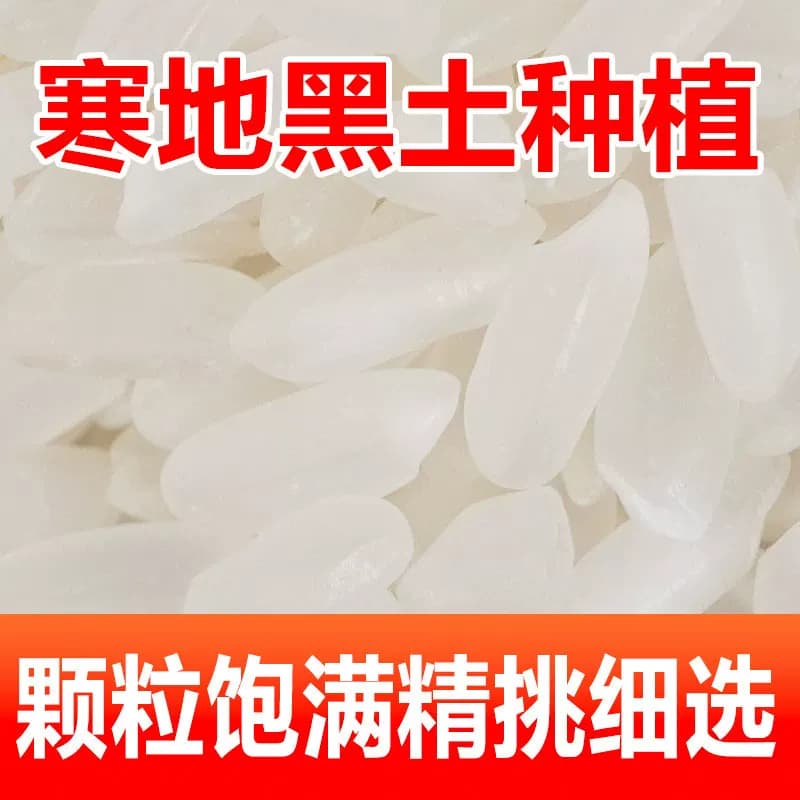 【芭芭农场兑换专享】东北长粒香米3斤当季新米 - 缩略图5