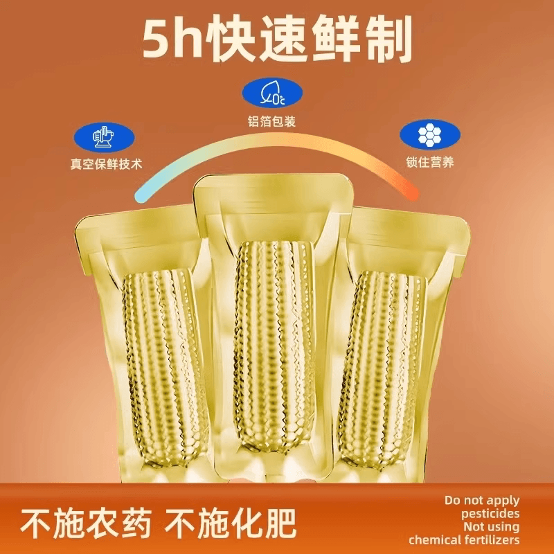 当季东北黏糯玉米棒真空包装黄苞米现摘新鲜甜粘早餐非即食真空装 - 缩略图5