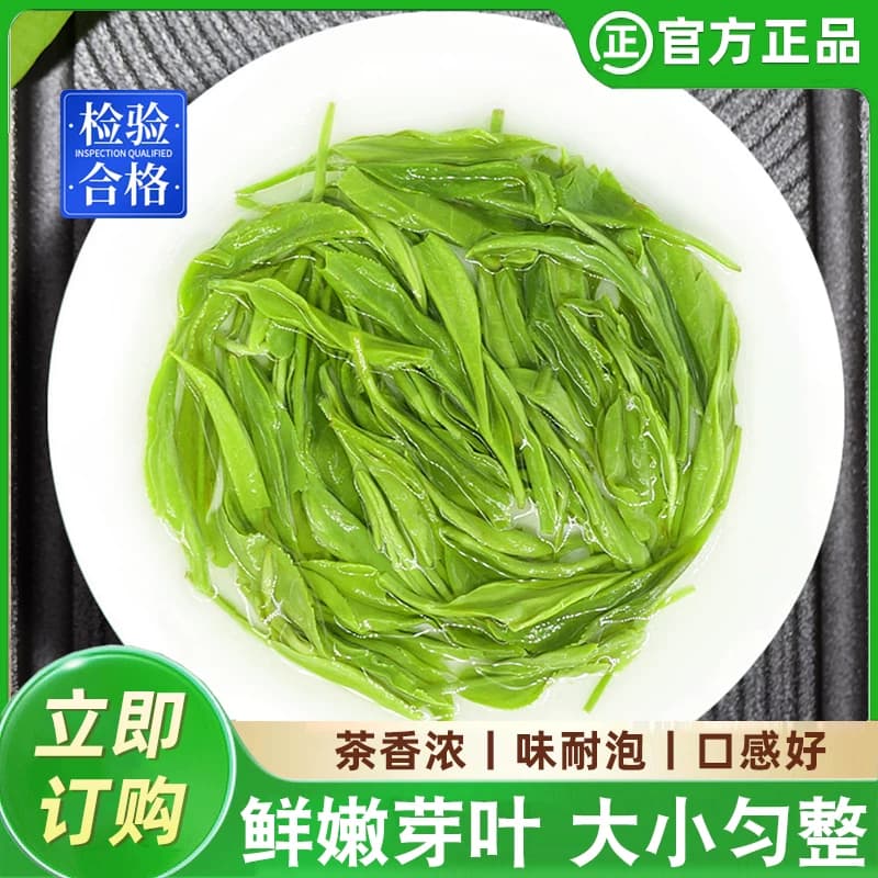 古丈毛尖绿茶明前茶叶2026新茶浓香型早春嫩芽毛尖湘西手工茶炒青 - 缩略图4