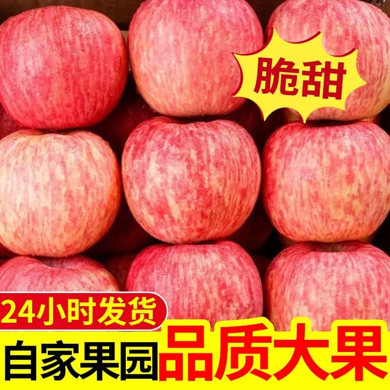 烟台红富士苹果9斤应当季新鲜水果整箱山东栖霞脆甜冰糖心丑苹果 - 缩略图4