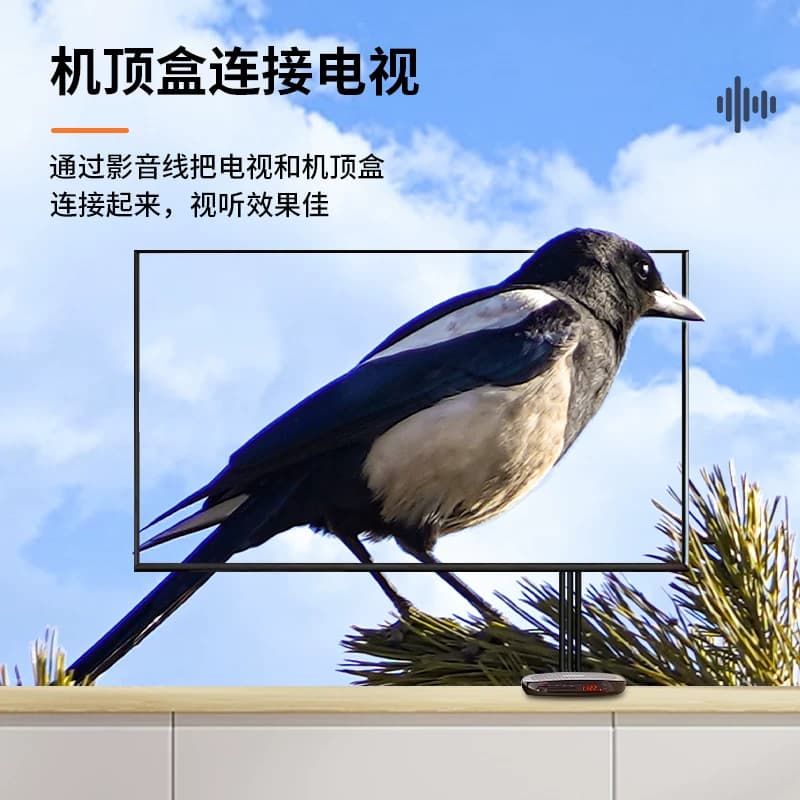 三对三莲花AV线音频dvd线机顶盒子老电视机连接红黄白3对3视频线 - 缩略图2