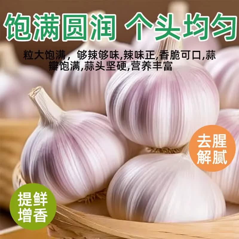 同款山东金乡大蒜头紫皮蒜新鲜颗粒生鲜蔬菜产地直发发芽种植挑选 - 缩略图5