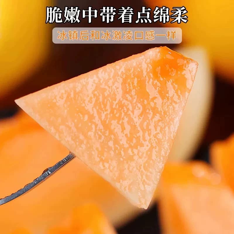 甘肃民勤黄河蜜瓜4-5斤甜瓜水果新鲜当季整箱沙漠黄金哈密瓜 - 缩略图5