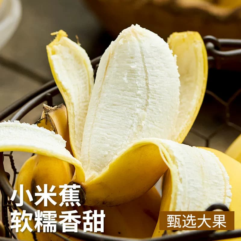 广西小米蕉当季新鲜水果自然熟小香蕉非芭蕉皇帝蕉整箱现摘大果 - 缩略图2