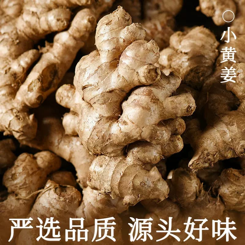 现挖老姜小黄姜生姜应季新鲜蔬菜姜云南特级批发调味料月子姜食用 - 缩略图3