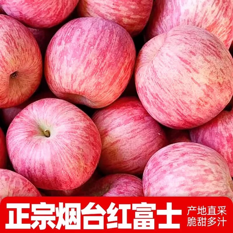 烟台红富士苹果9斤应当季新鲜水果整箱山东栖霞脆甜冰糖心丑苹果 - 缩略图3