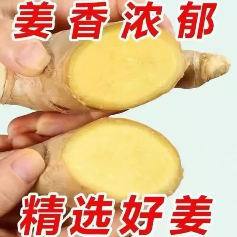 【精选】山东大姜风干姜大块无泥生姜老姜月子无硫整箱黄姜新鲜 - 缩略图2