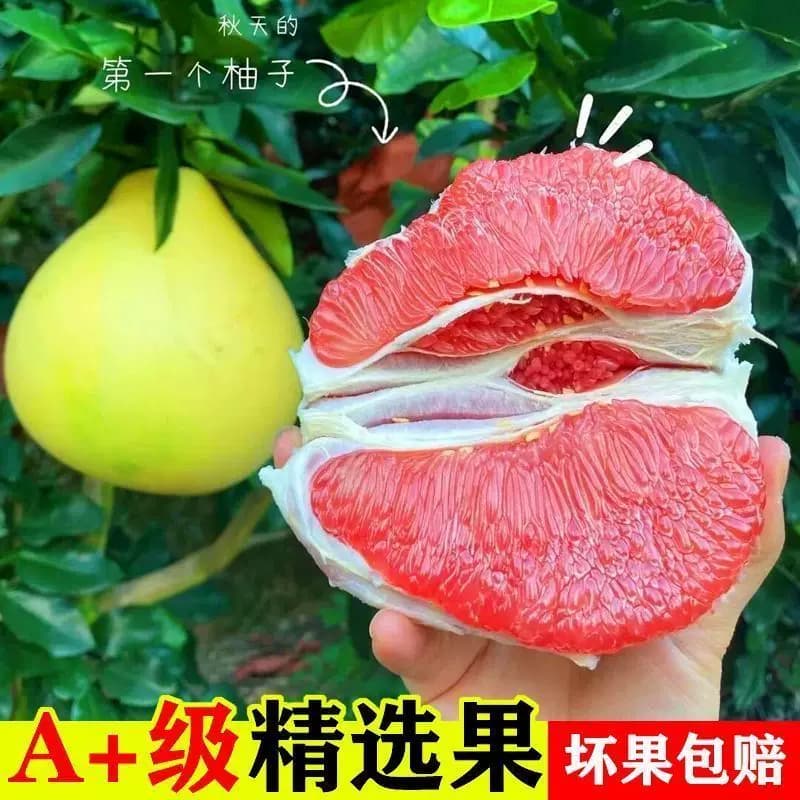 正宗福建平和红心蜜柚红心柚子5斤新鲜当季柚子现摘包邮广西仓发 - 缩略图3