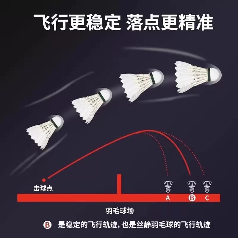 防风羽毛球鹅毛工厂直销12只装专业级耐打娱乐比赛训练正品室内外 - 缩略图4