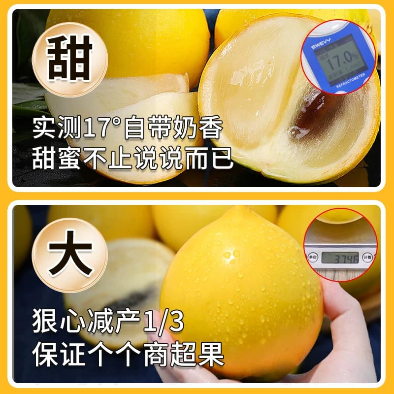顺丰 黄晶果300g+超果王级云南版纳树熟新鲜水果牛奶果高端品种 - 缩略图4
