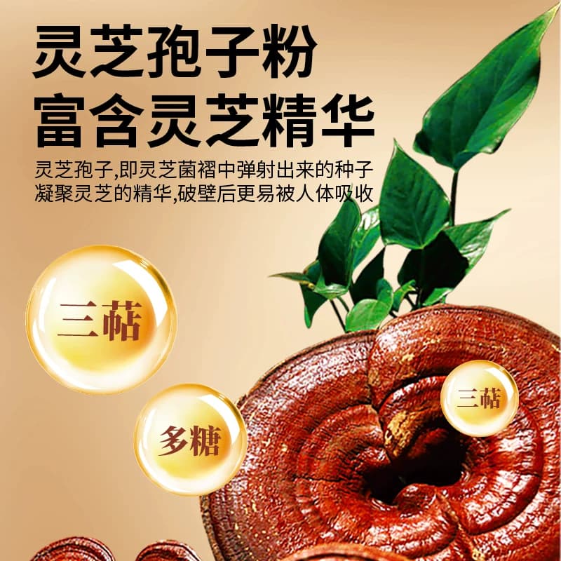 北京御生堂牌破壁灵芝孢子粉胶囊增强免疫力正品 - 缩略图2
