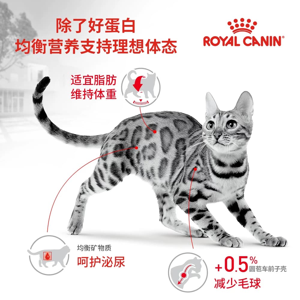 皇家猫粮F32营养成猫专用I27室内英短布偶全价猫主粮官方授权英短 - 缩略图2