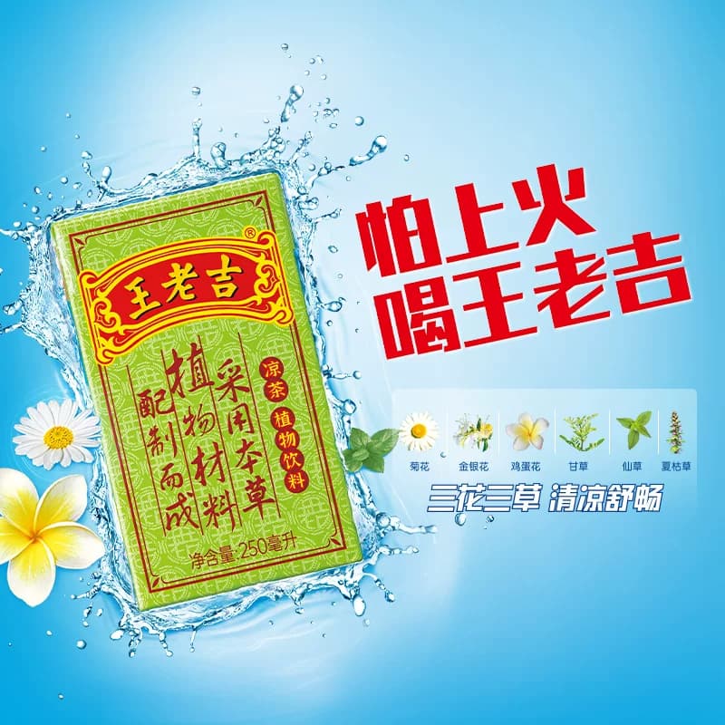 王老吉凉茶茶饮料整箱送礼礼盒火锅搭档中华老字号绿盒年货礼盒 - 缩略图2