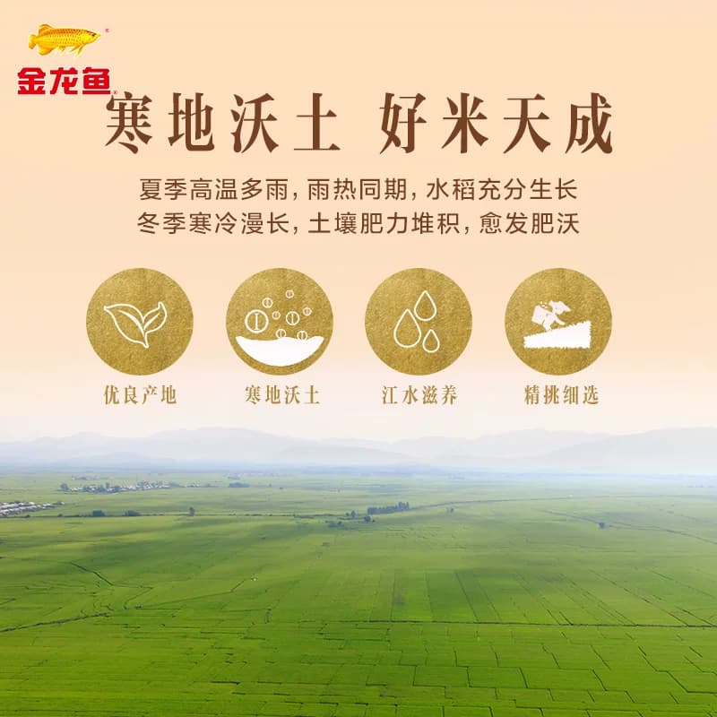 金龙鱼寒地东北大米5kg*4袋共20公斤 整箱装经典圆粒米 - 缩略图2