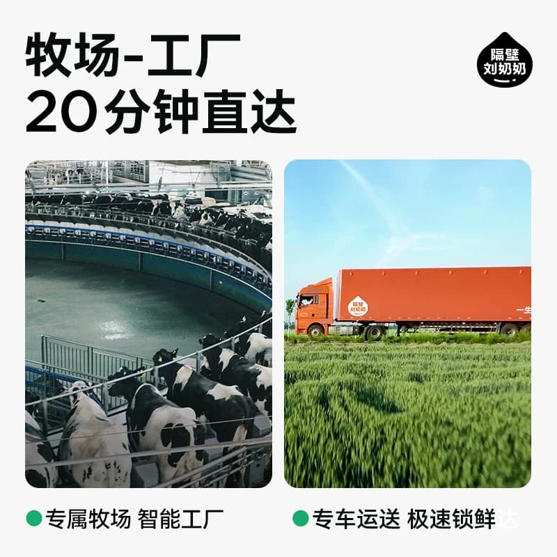 隔壁刘奶奶miniA2β-酪蛋白纯牛奶125ml*4盒高钙宝宝牛奶 - 缩略图5