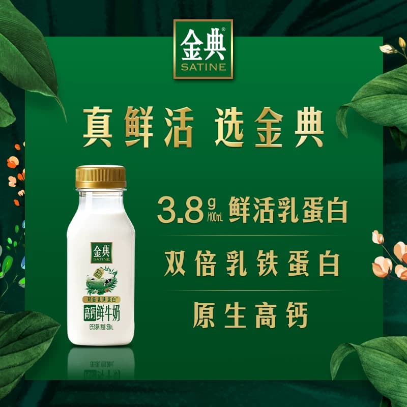 【下拉领优惠】伊利金典4.0巴氏杀菌乳鲜牛奶高钙组合营养早餐 - 缩略图4