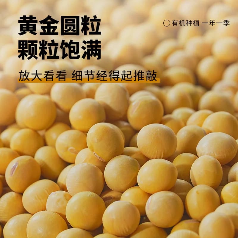 盖亚农场黄豆有机黄豆非转基因东北大豆杂粮打豆浆专用豆原料 - 缩略图3