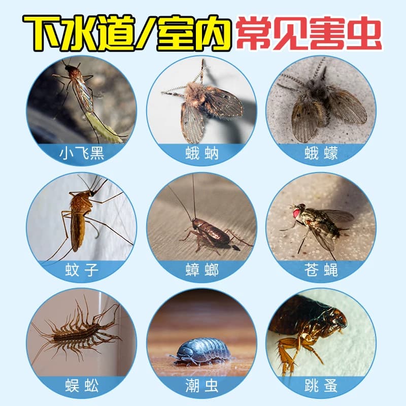 老管家下水道杀虫水乳剂1L灭杀卫生间厕所管道除飞虫蚊子苍蝇跳蚤 - 缩略图5