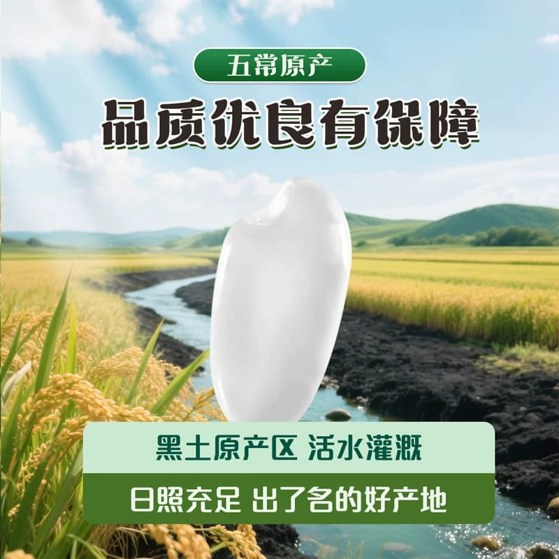 下拉享特价 金龙鱼金玉稻香五常大米5kg*1袋鹰标东北大米 - 缩略图3