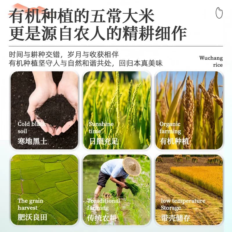 舶元有机五常大米1kg寒地黑土东北大米口感细腻全程有机可溯源 - 缩略图3