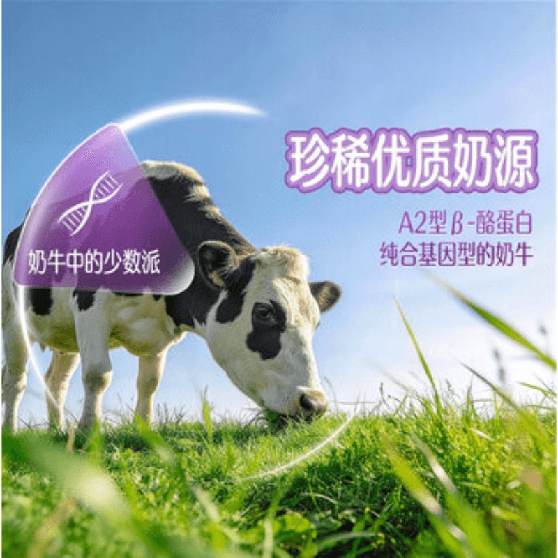 【中秋节】【开学季】伊利QQ星原生A2β酪蛋白高钙儿童营养早餐 - 缩略图4