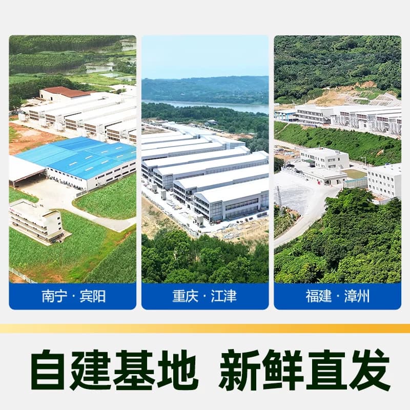 猫超臻选谷物安选鲜鸡蛋礼盒谷粮饲养1.59kg香满园顺丰直发 - 缩略图4