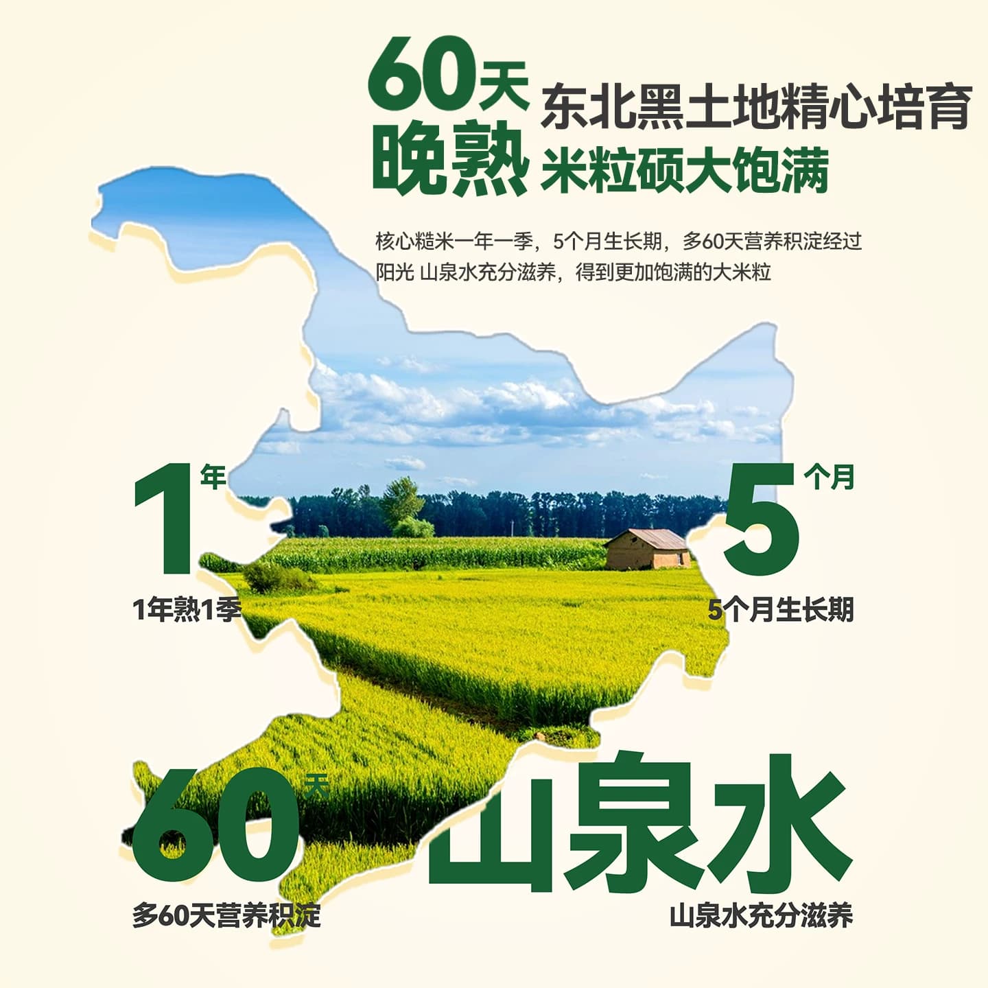 【会员专享】邹有才东北七色糙米5斤 - 缩略图2