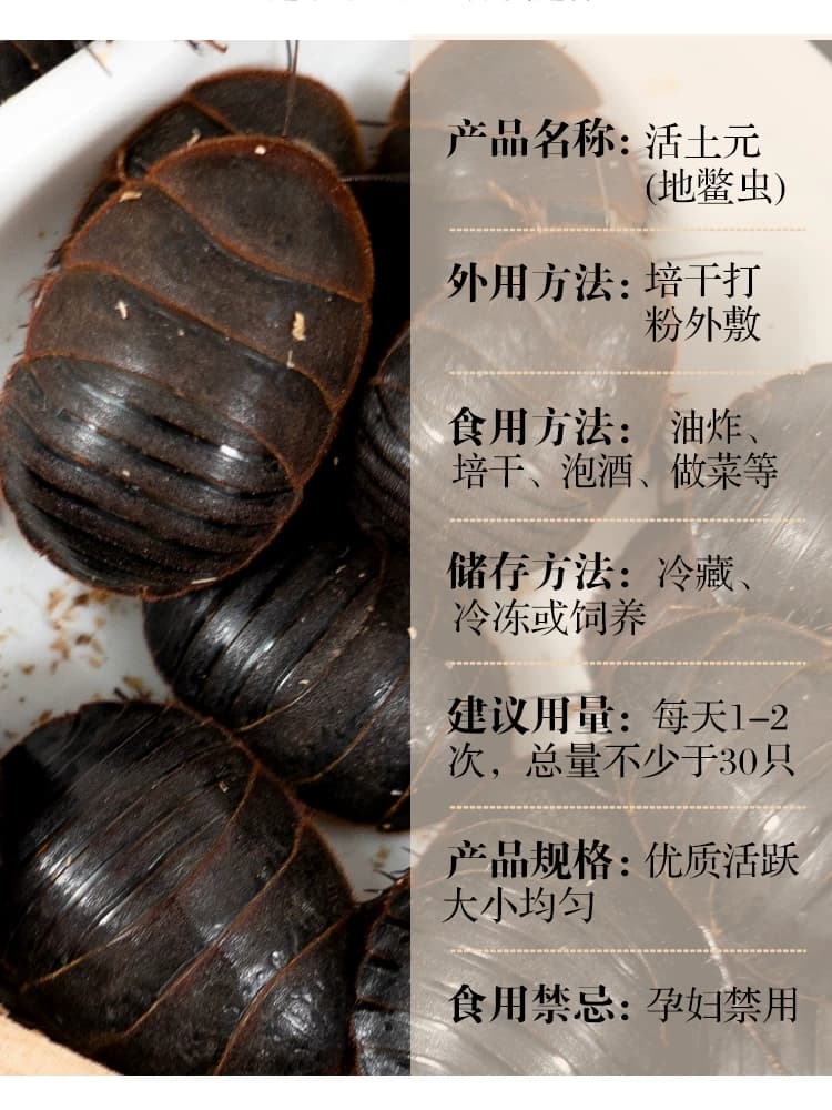 12年老店【包活到家】活土元虫地鳖虫药食两用中药材土鳖500g包邮 - 缩略图4