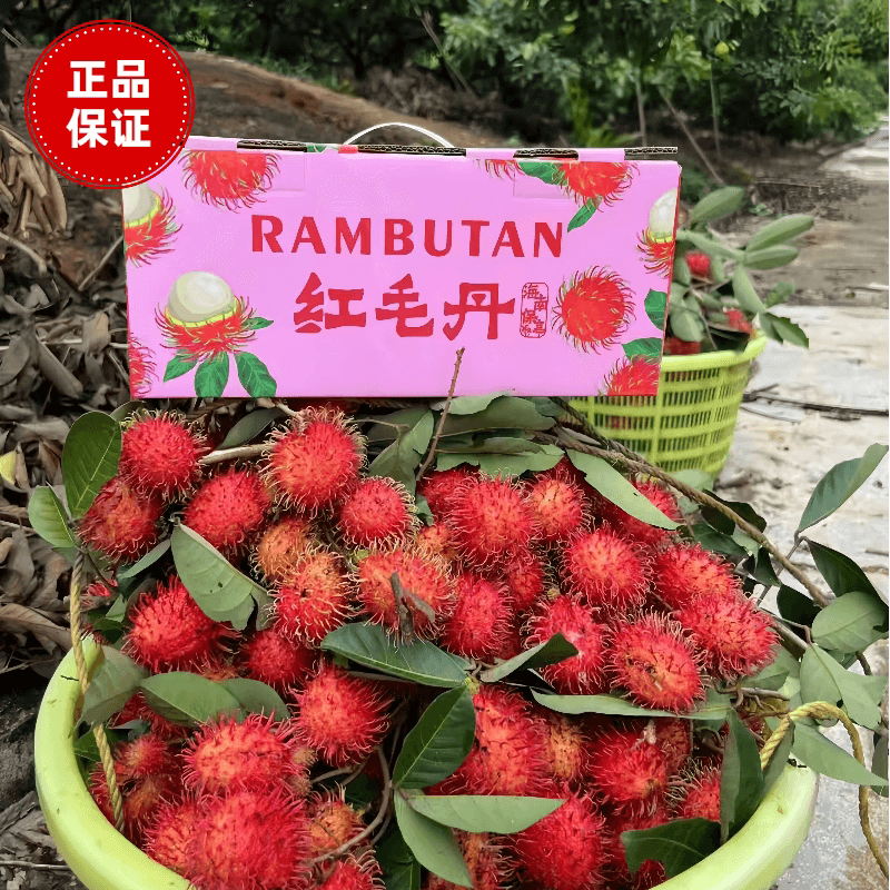 三亚保亭新鲜正宗红毛丹热带水果果送礼礼盒装孕妇5斤毛荔枝 - 缩略图4