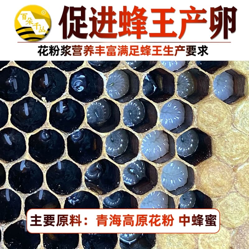 花粉浆中蜂发酵蜂粮蜜蜂饲料度夏冬季代用花粉百朵千丛养蜂工用具 - 缩略图2
