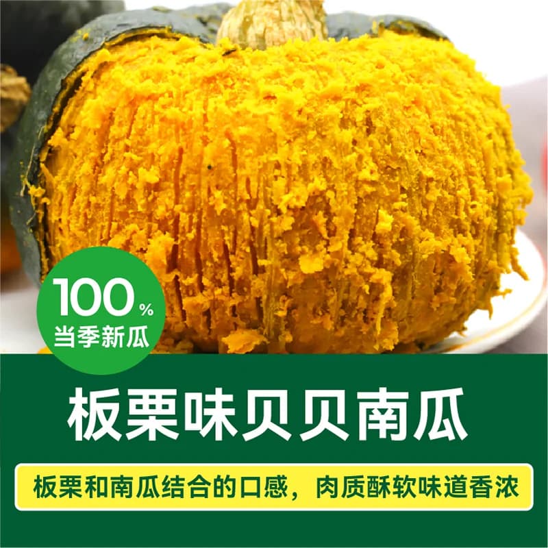 绿行者正宗板栗味贝贝南瓜粉糯香甜小南瓜宝宝辅食真贝贝 - 缩略图2