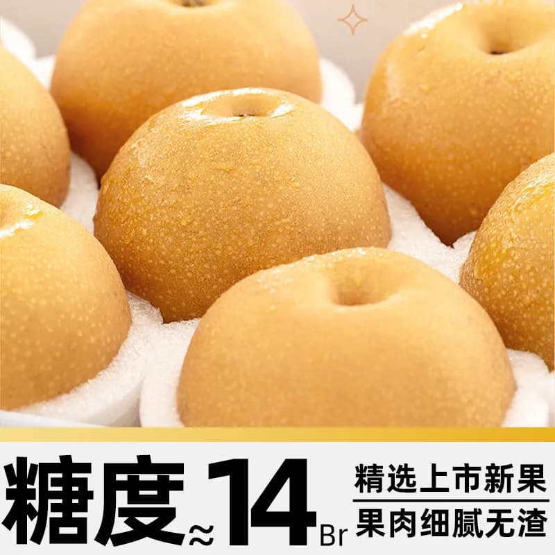 【中秋礼盒】【详情页领补贴】正宗山东秋月梨新鲜当季送礼梨整箱 - 缩略图2